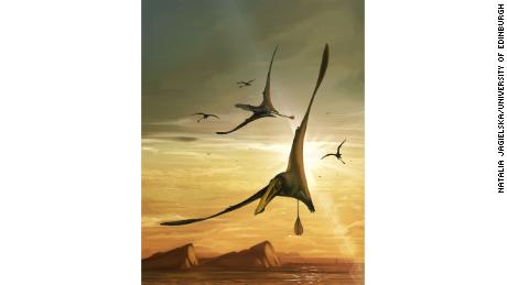 Ilustração representando um pterossauro, que tinha uma envergadura de mais de 2,5 metros (8,2 pés). 