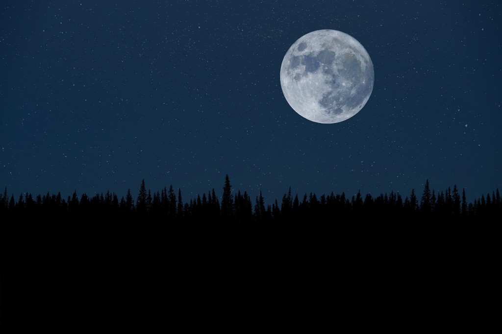 Super lua sobre a floresta noturna