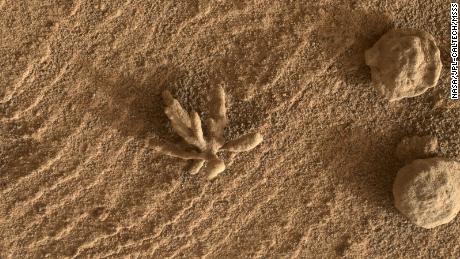 pequeno & # 39;  flor & # 39;  Uma formação observada em Marte pelo rover Curiosity