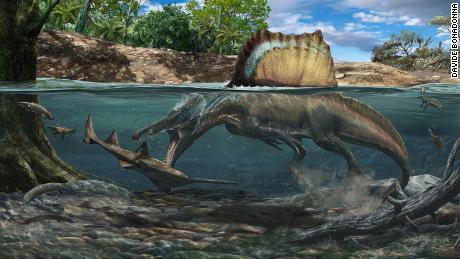 Um dinossauro maior que um T. rex nadava e caçava debaixo d'água