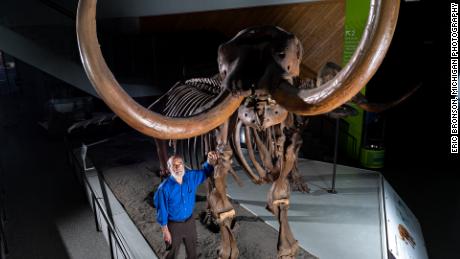 O paleontólogo da Universidade de Michigan Daniel Fisher posa com um esqueleto composto de um mastodonte Buesching.  Fotografia por Eric Bronson, fotografia de Michigan.