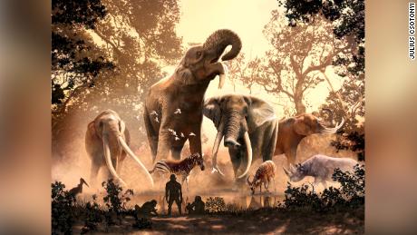Os elefantes modernos escaparam das antigas mudanças climáticas.  Não havia mais de 180 outras espécies, incluindo mastodontes