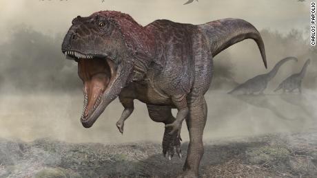Novas espécies de dinossauros com armas pequenas como o T. rex foram descobertas