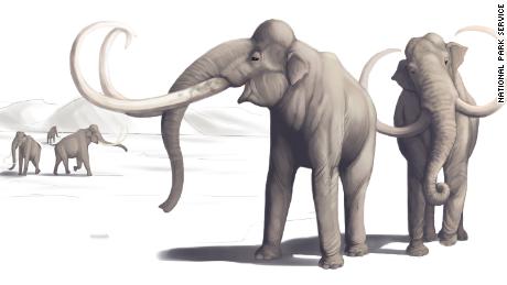 Esta ilustração mostra como era um mamute há milhares de anos.