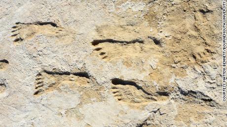 Pegadas fossilizadas mostram que humanos chegaram à América do Norte muito antes do que se pensava inicialmente