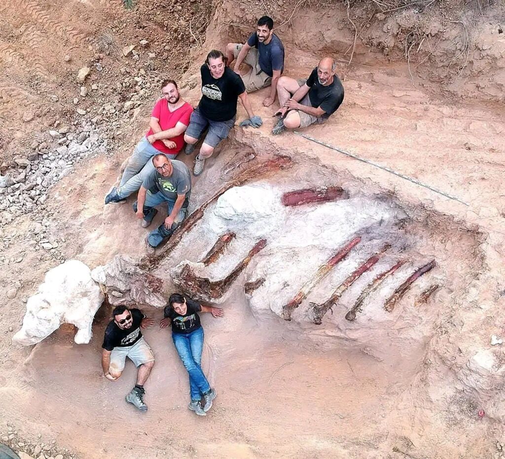 Em agosto, paleontólogos coletaram costelas de 3 metros.  