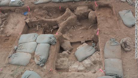 O local da escavação continha ossos quebrados do crânio, coluna e costelas do mamute.