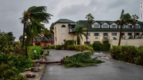 Há uma palmeira caída na entrada do Ports of Call Resort em Providenciales e nas Ilhas Turks e Caicos. 